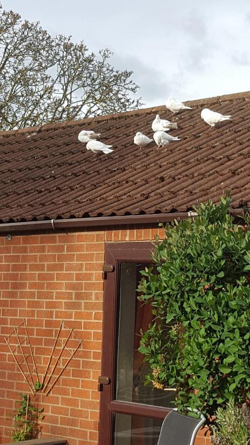 The White Dove Bed And Breakfast With Glamping Newark Showground Екстер'єр фото